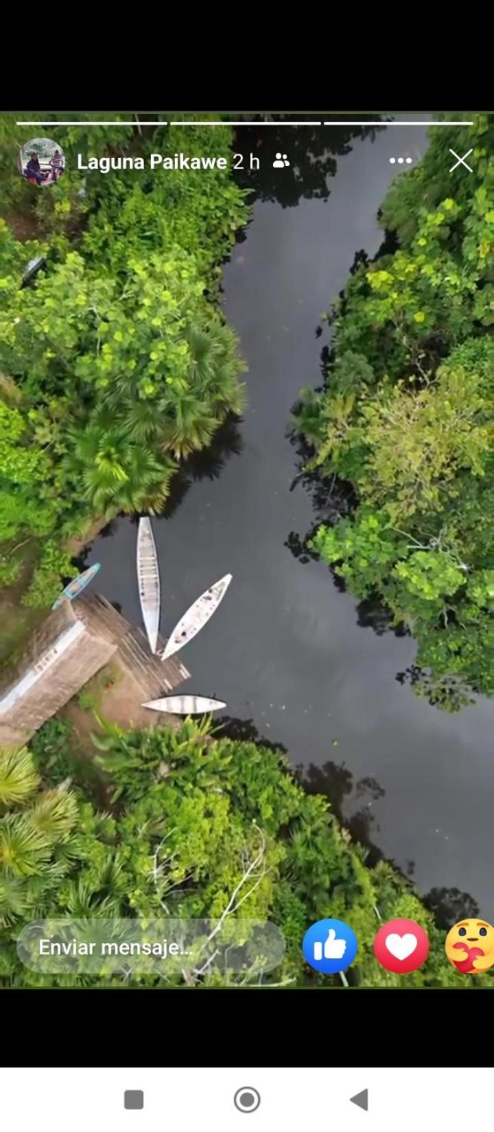 Misahualli Laguna Paikawe B&B Exterior foto